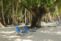20250223-51-Marivsidebungalows