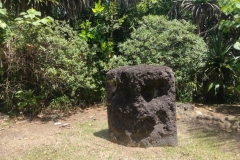 20250223-69-Badrulchau-Stone-Monoliths