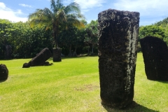 20250223-73-Badrulchau-stone-monoliths