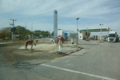 P1080384-Tankstation-ergens-langs-Dode-Zee