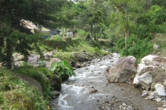 IMG_1219-Panama-Boquete-naar-Cascada-Escondida