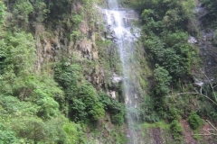 IMG_1226-Panama-Cascada-Escondida