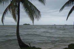 IMG_1589-Panama-Isla-Robinson