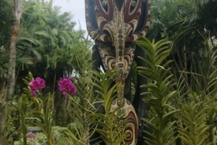 20240813-22-National-Orchid-Garden