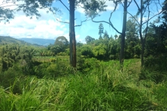 20240816-154-To-another-Luglamp-village-on-day-2