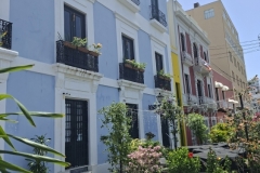 20250724-19-Del-Cristo-Street-opposite-Paloma-Garden