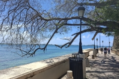 20250725-111-San-Juan-Gate