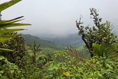 20250726-138-El-Yunque-NP