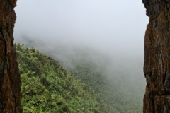 20250726-140-Mt.-Britton-El-Yunque