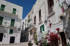 DSC_0420-Monopoli