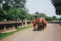 IMG_3523-Arbore-Moldova-koets-met-veulen