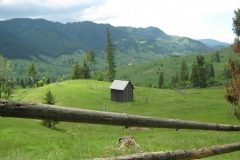 IMG_0282-Bucovina-omgeving-Putna