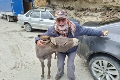 20250914-273-Salta-this-donkey-wants-my-ice