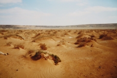 IMG_3744-Weg-Laayoune-naar-Boukra