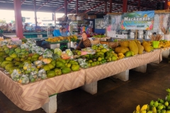 20250117-6-Maketi-Fou