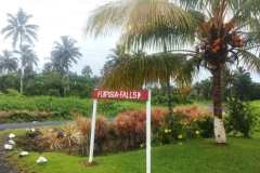 20250118-73-Fuipisia-Falls