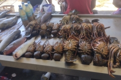 20250123-170-Lobsters-fro-the-sea