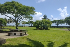 20250123-177-Apia-Park