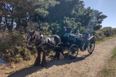 20220921-17-Carriage-at-Buddhist-Carving-Point