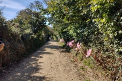 20220921-29-Wandeling-op-Sark