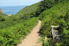 IMG_0077-Sark-terug-naar-de-boot