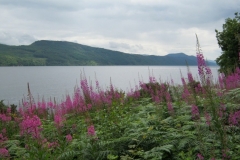 IMG_0537-Loch-Ness