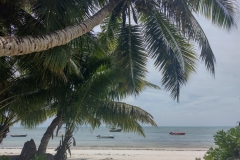 20230202-10-Praslin-GrandAnse-Beach