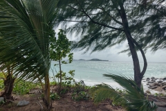 20230202-21-Praslin-Anse-Kerlan