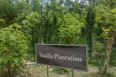 20230204-22-La-Digue-Vanilla-planatation-at-Union-Estate