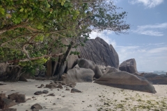 20230204-50-La-Digue-Anse-Source-dArgent