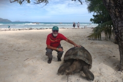 20230205-4-La-Digue-Aldabra-tortoise-at-Anse-Severe