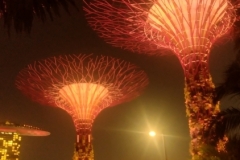 20240920-140-Gardens-by-he-Bay