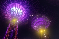 20240920-147-Gardens-by-the-Bay-lightshow