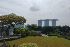 20240920-59-Gardens-by-the-Bay