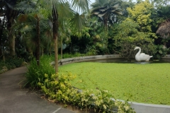 20240920-70-Gardens-by-the-Bay