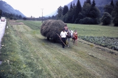 06-31-Mojstrana-SLO-boer-met-hooikar