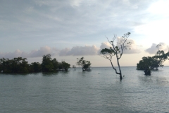 20240825-73-backside-of-Taflabana