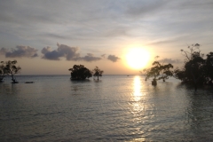 20240825-83-Sunset-at-Taflabana