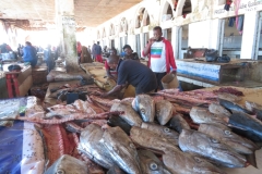 20230511-32d-Mogadishu-Fish-Auction