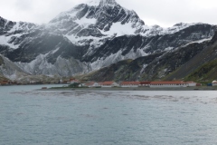 1_P1010213-Grytviken