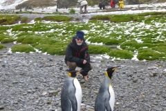 2_P1010047-King-pinguins-in-Fortuna-Bay