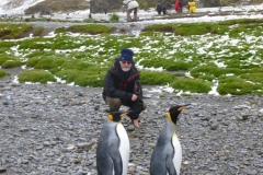 P1010047-King-pinguins-in-Fortuna-Bay