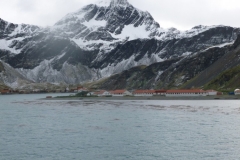 P1010213-Grytviken