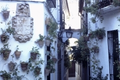 33-36-Cordoba-Callejon-de-las-Flores