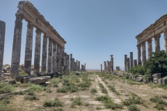 20220705-298-Apamea-colonnaded-street