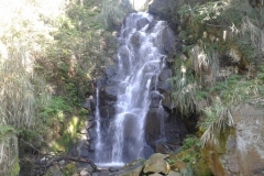 20161113_100658-Waterfall-in-Shann-Garden