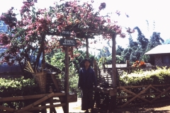 71-27-Roung-Thai-Village-bij-Mae-Aw