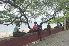 20251205-51-Christmas-tree-at-Christo-Rei-5