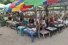 20251206-91-Fresh-caught-fish-on-Atauro