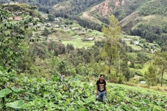 20251207-178-Maubisse-fieldworkers